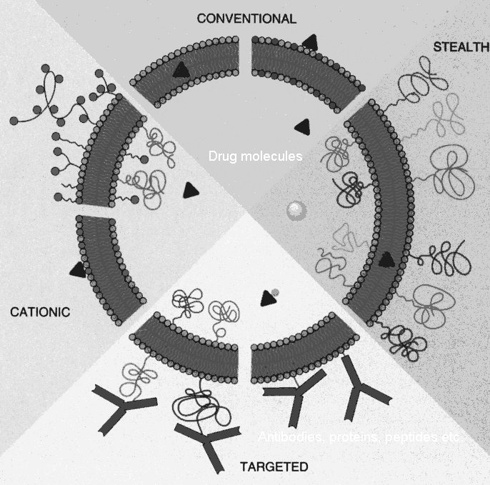 Versatility of liposome composition and use