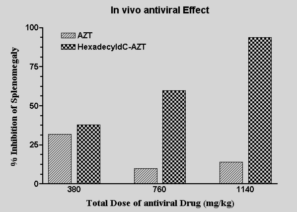 In vivo antiviral effect of AZT and the AZT-dimer